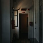 Evakuasi Ular di Hutan Kota