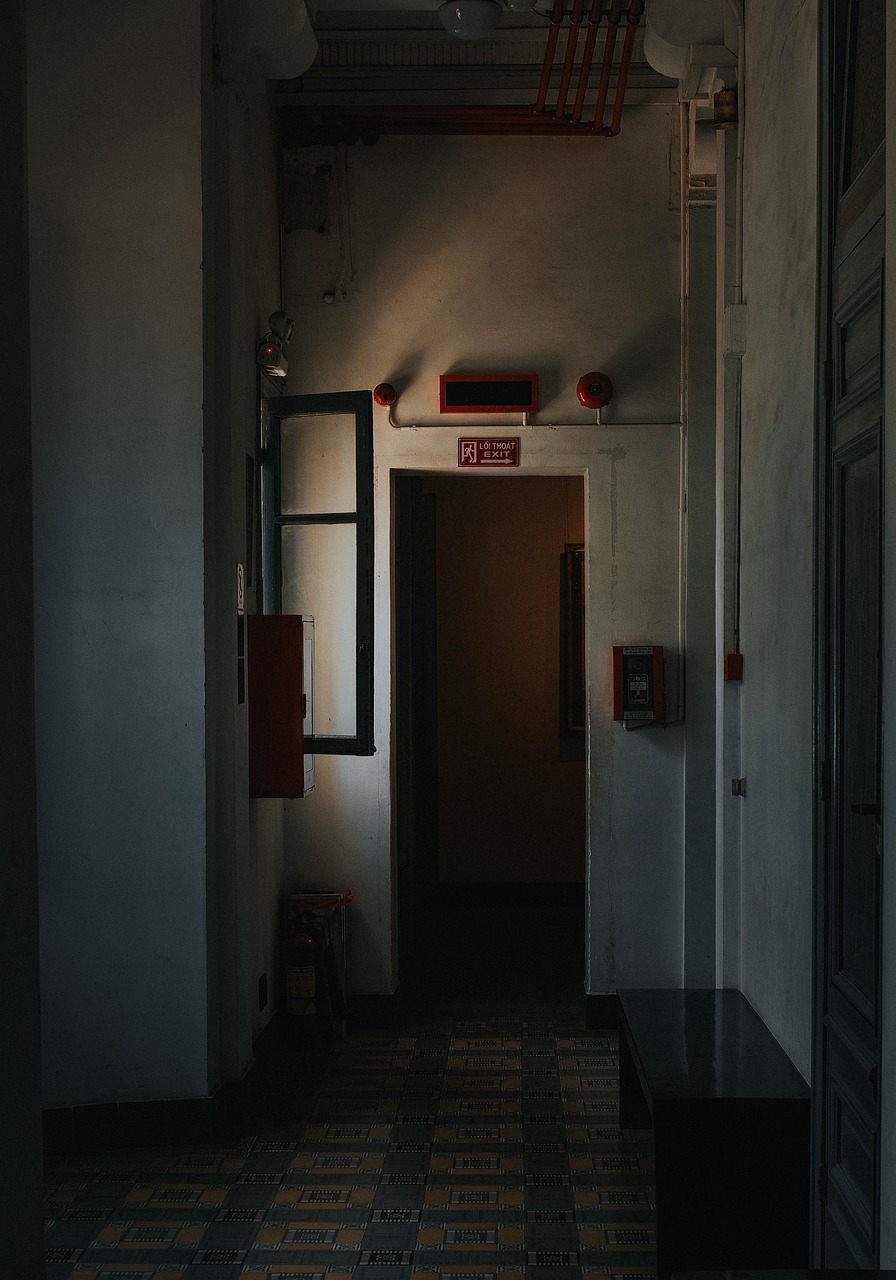 Evakuasi Ular di Hutan Kota